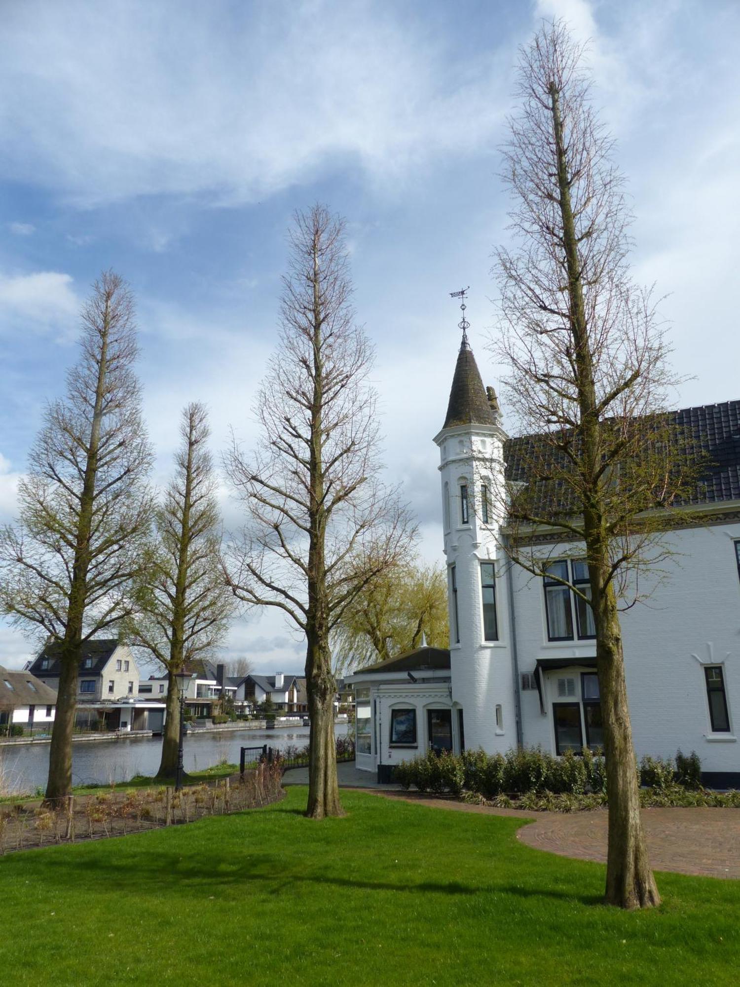 Herberg Welgelegen Katwijk aan Zee Exterior foto